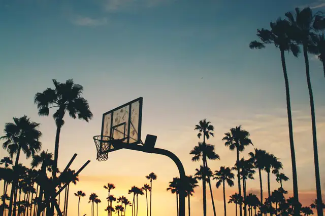 Outdoor basketball hoop silhouetted against a sunset with palm trees
